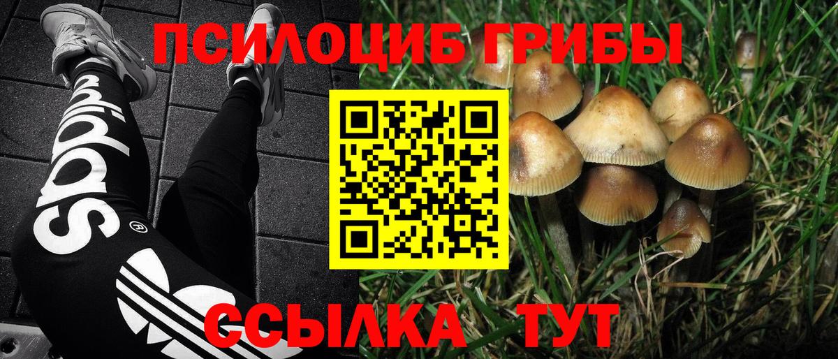 Псилоцибиновые грибы Magic Shrooms  сколько стоит  Димитровград  Вход с VPN 
