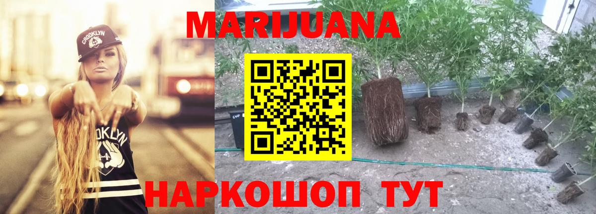 Бошки марихуана индика Димитровград